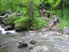 RDA2008-0390.jpg (2744833 octets)