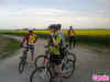 carvin_01.jpg (83998 octets)