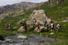 rda2009web-010.jpg (439824 octets)