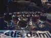 rda2010-058.jpg (65363 octets)
