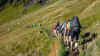 rda2011-aout-j3-3.JPG (169290 octets)