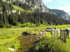 rda2011-juin-j1-14.JPG (285654 octets)