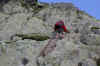 rda2011-juin-j6-12.JPG (341854 octets)