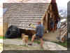 corv�e de bois